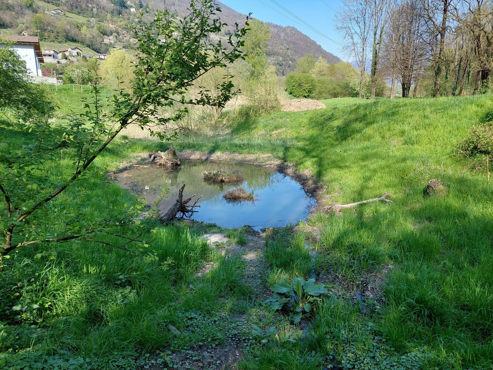 Magadino-plain-park_nature-reserve_Santa-Maria11