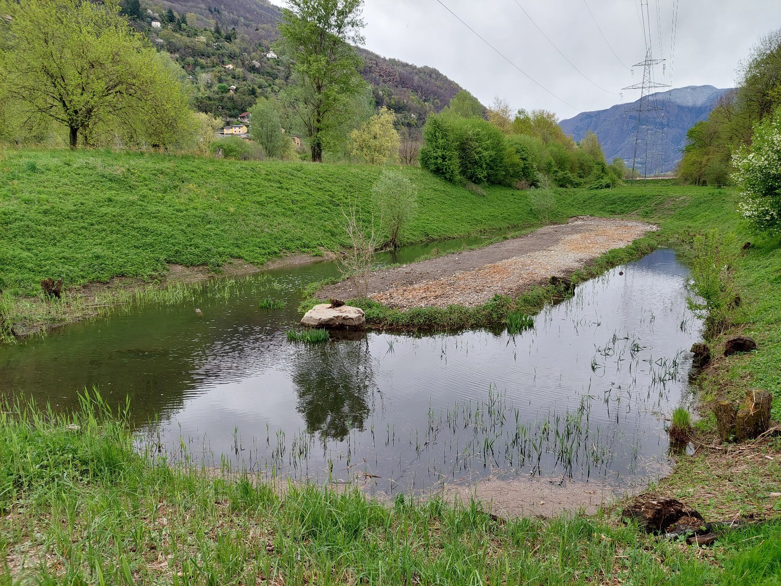 Magadino-plain-park_nature-reserve_Santa-Maria12