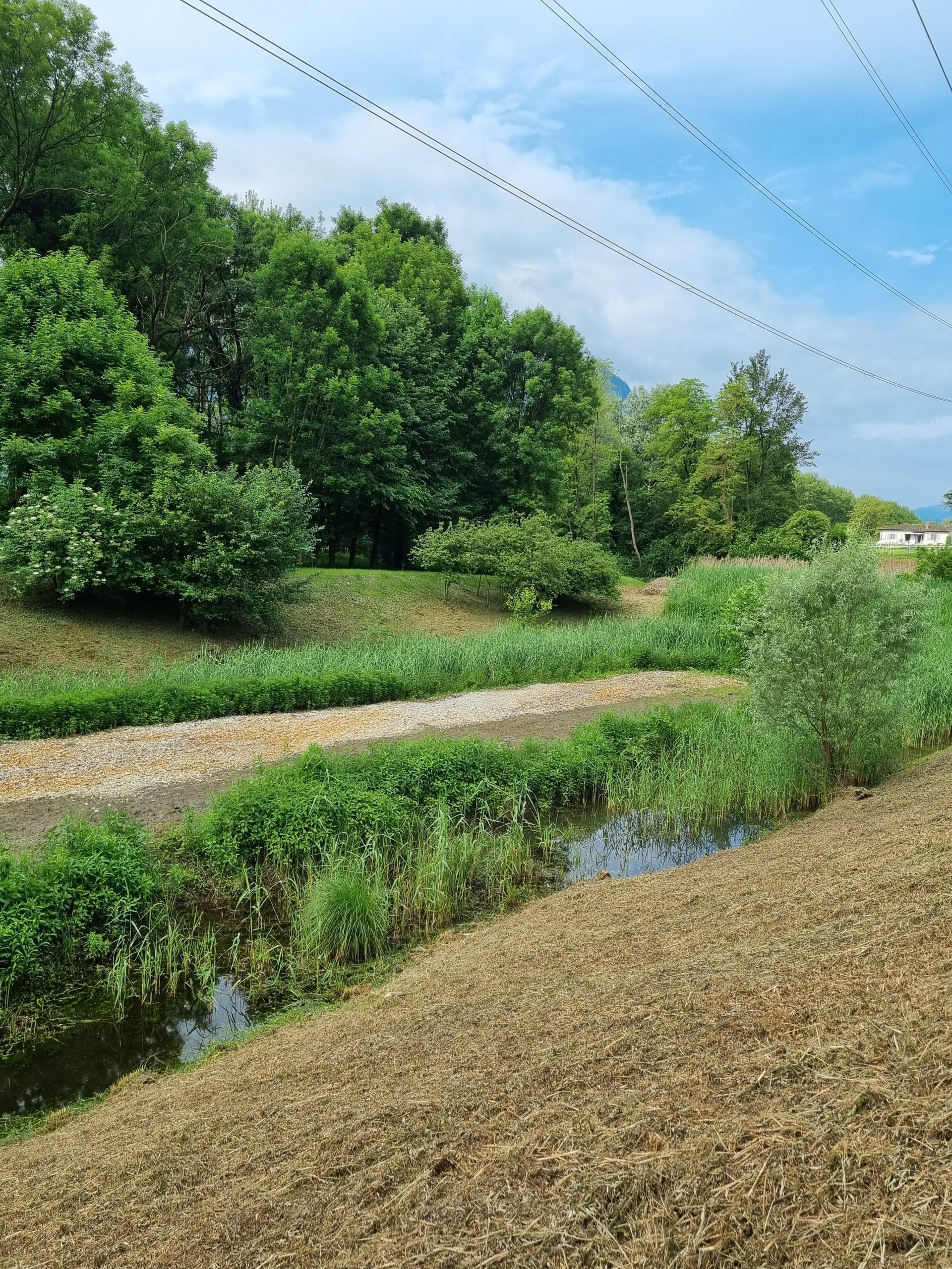 Magadino-plain-park_nature-reserve_Santa-Maria6
