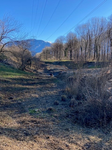 Magadino-plain-park_nature-reserve_Santa-Maria8