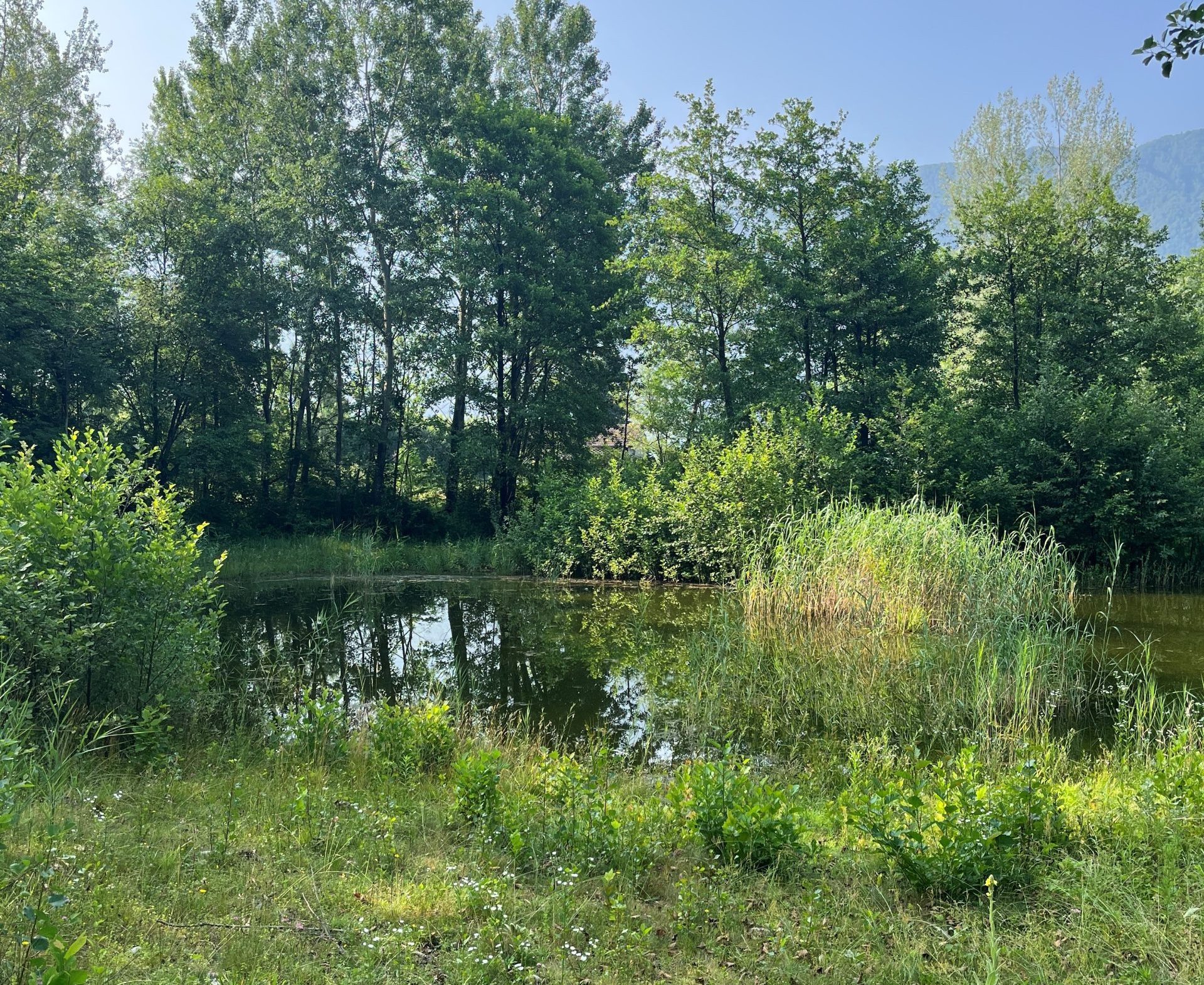 Parc-du-piano-de-Magadino_réserve-naturelle_Vigna-Lunga-Trebbione5